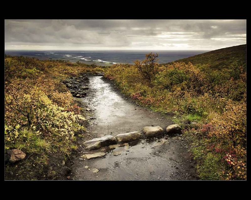 the refreshing road back home.jpg